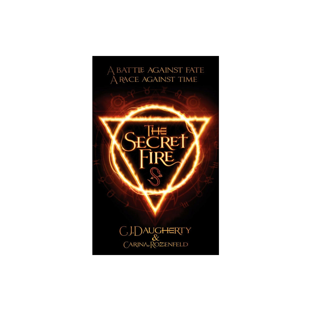 Little, Brown Book Group The Secret Fire (häftad, eng)