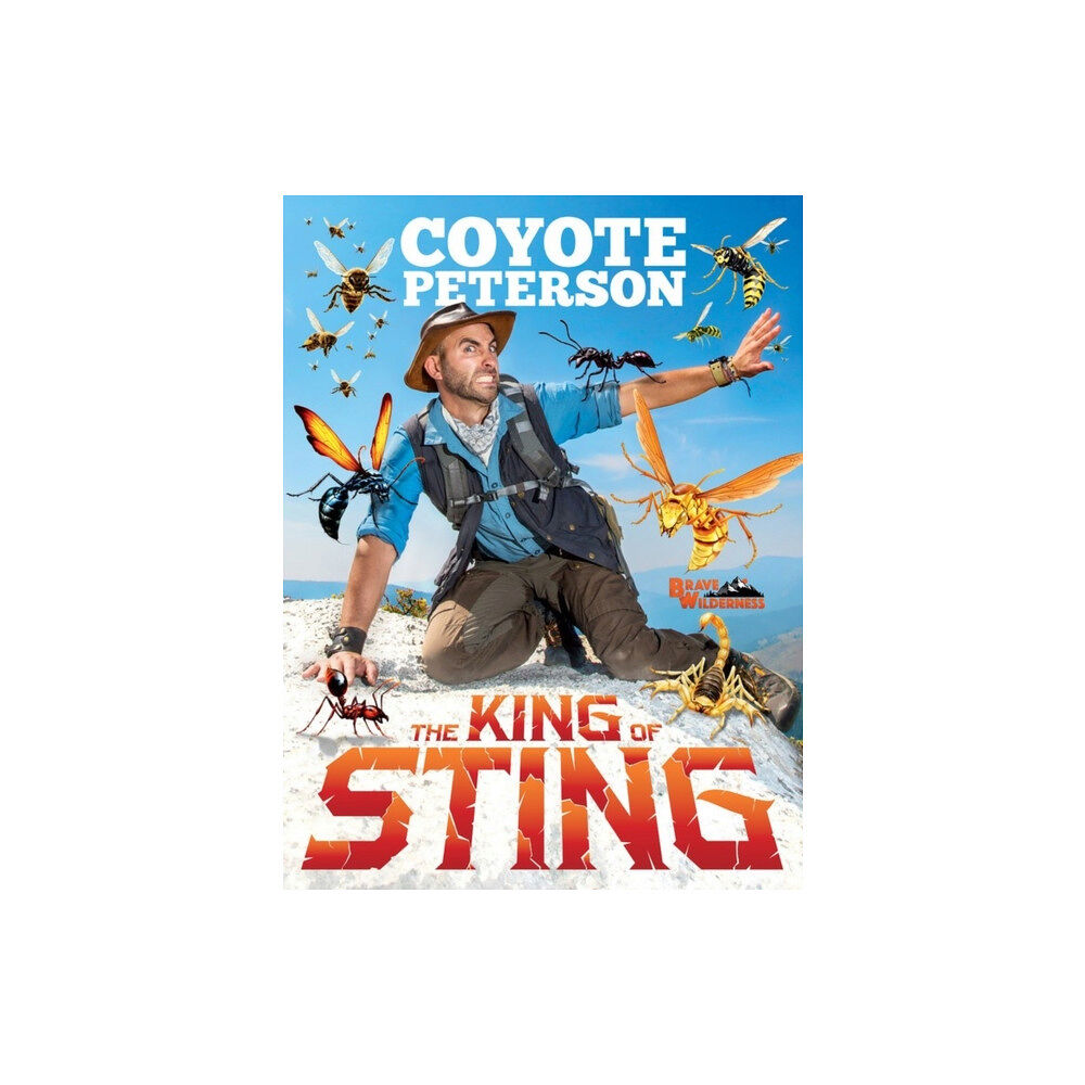 Little, Brown & Company The King of Sting (inbunden, eng)