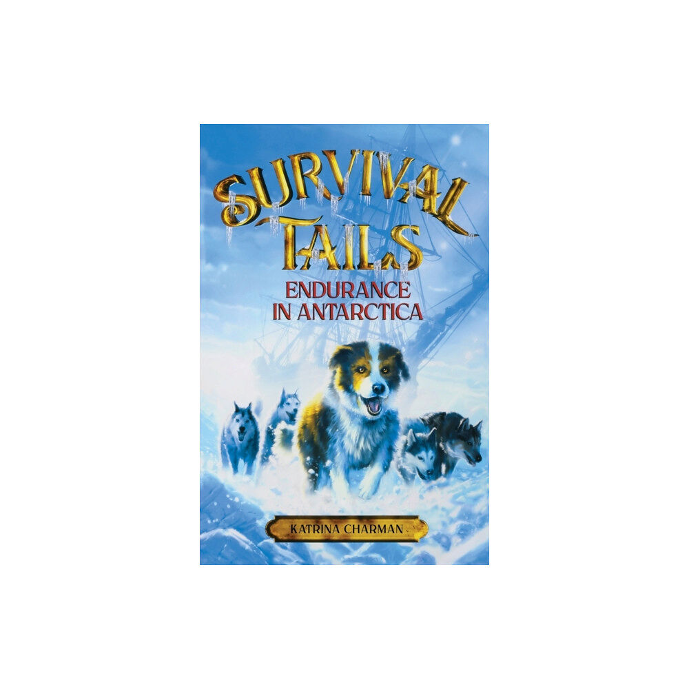 Little, Brown & Company Survival Tails: Endurance in Antarctica (häftad, eng)