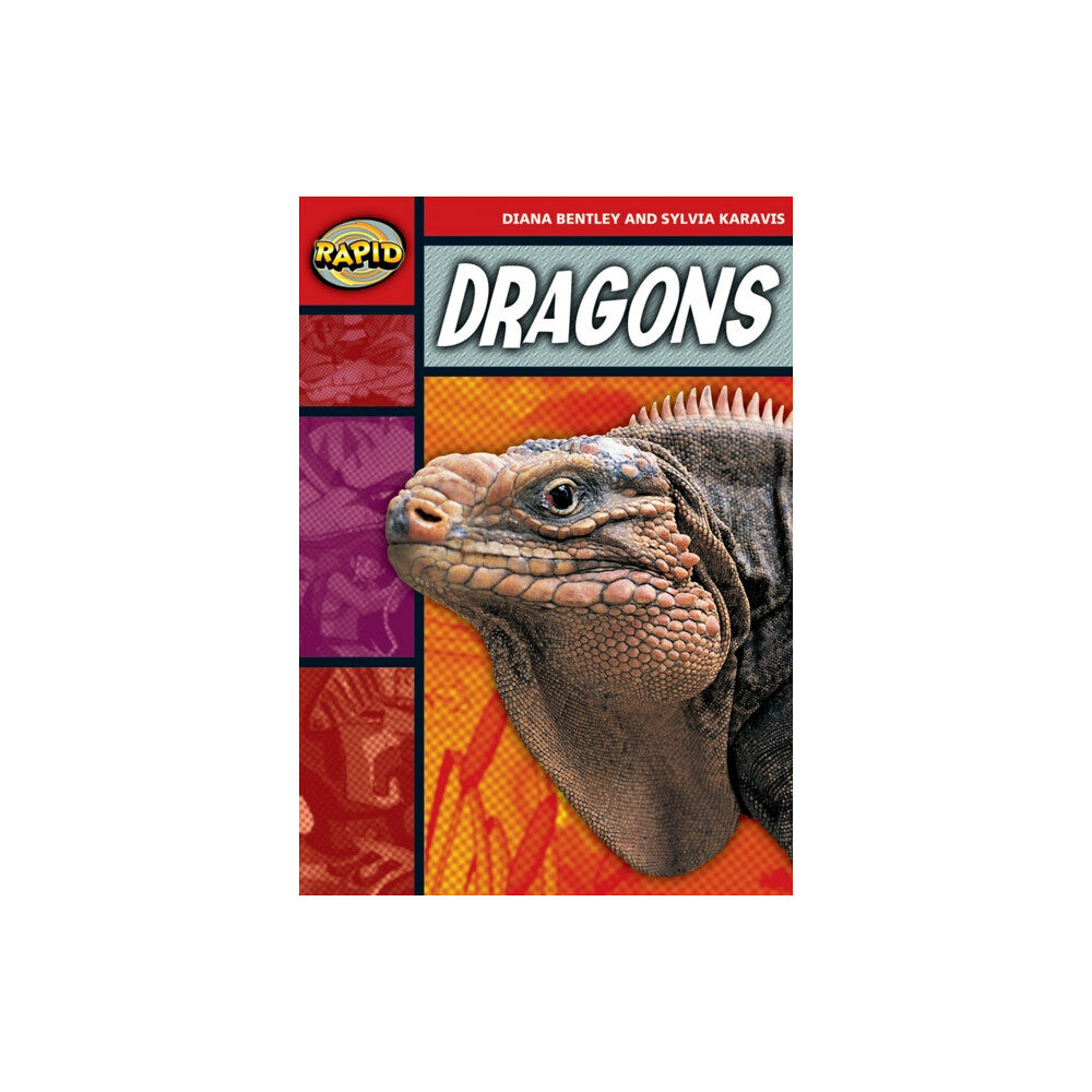 Pearson Education Limited Rapid Reading: Dragons (Stage 2, Level 2B) (häftad, eng)