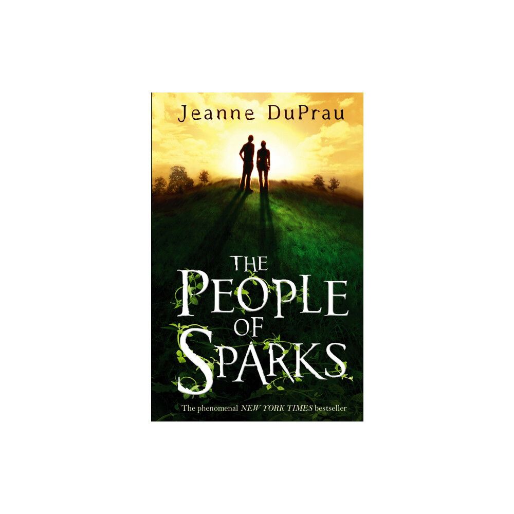 Penguin Random House Children's UK The People of Sparks (häftad, eng)