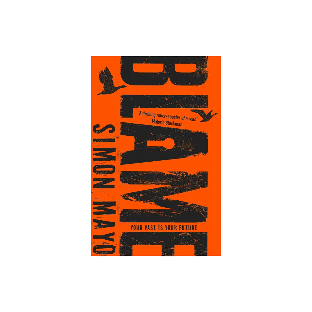 Penguin Random House Children's UK Blame (häftad, eng)