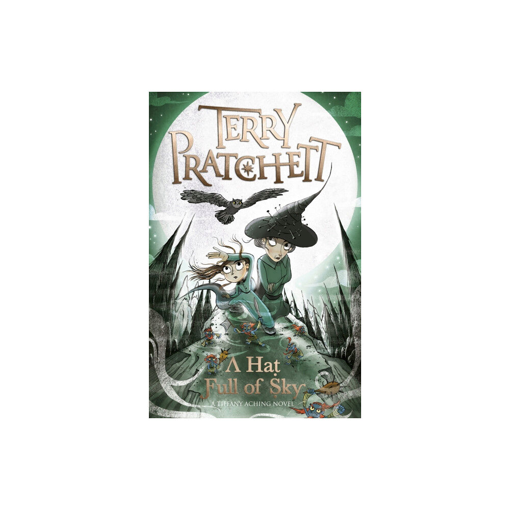 Penguin Random House Children's UK A Hat Full of Sky (häftad, eng)