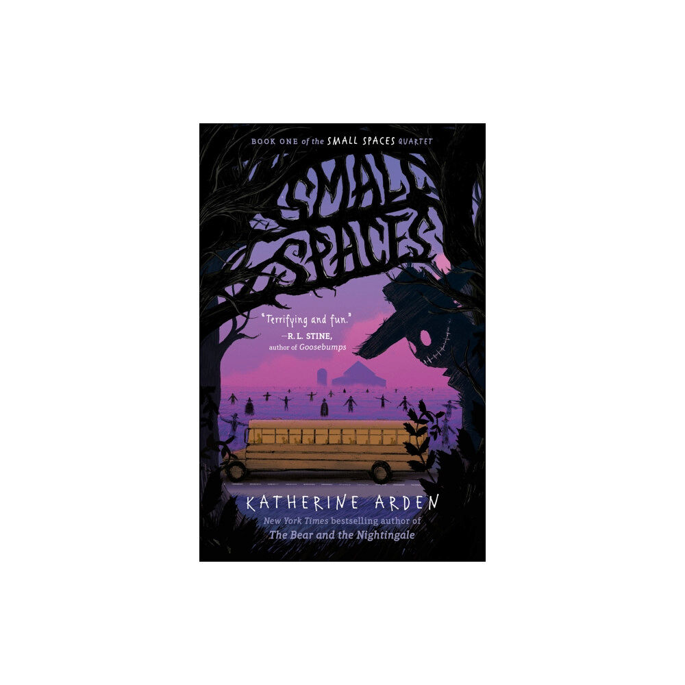 Nancy Paulsen Books Small Spaces (häftad, eng)