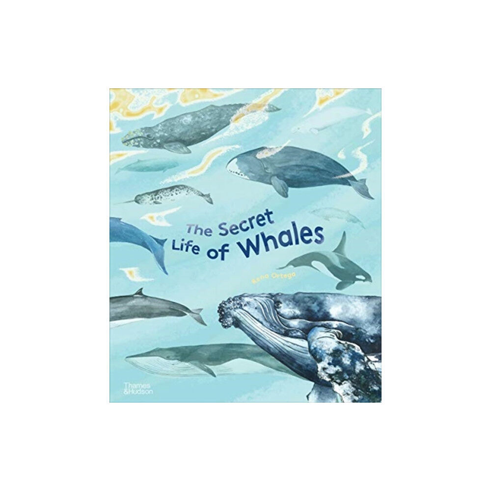 Thames & Hudson Ltd The Secret Life of Whales (inbunden, eng)