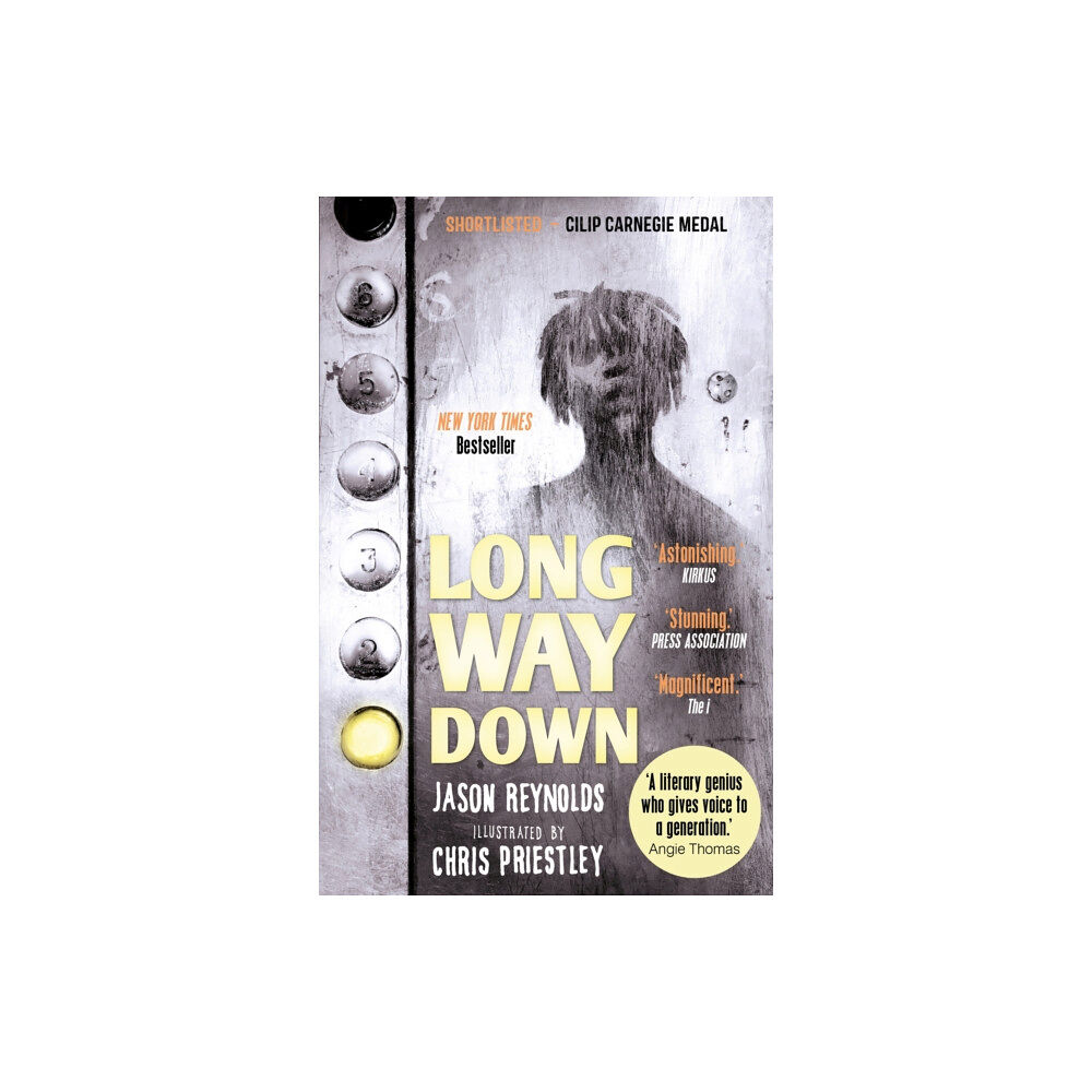 Faber & Faber Long Way Down (häftad, eng)