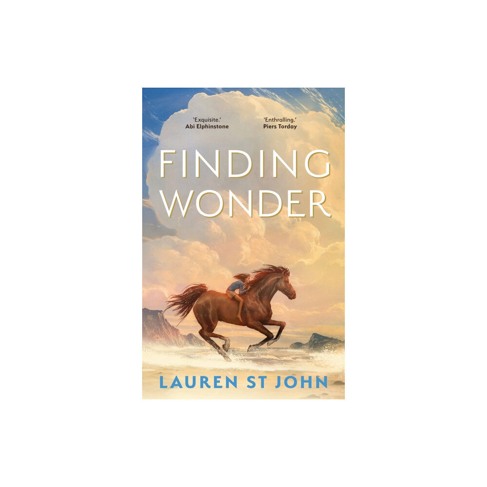 Faber & Faber Finding Wonder (häftad, eng)