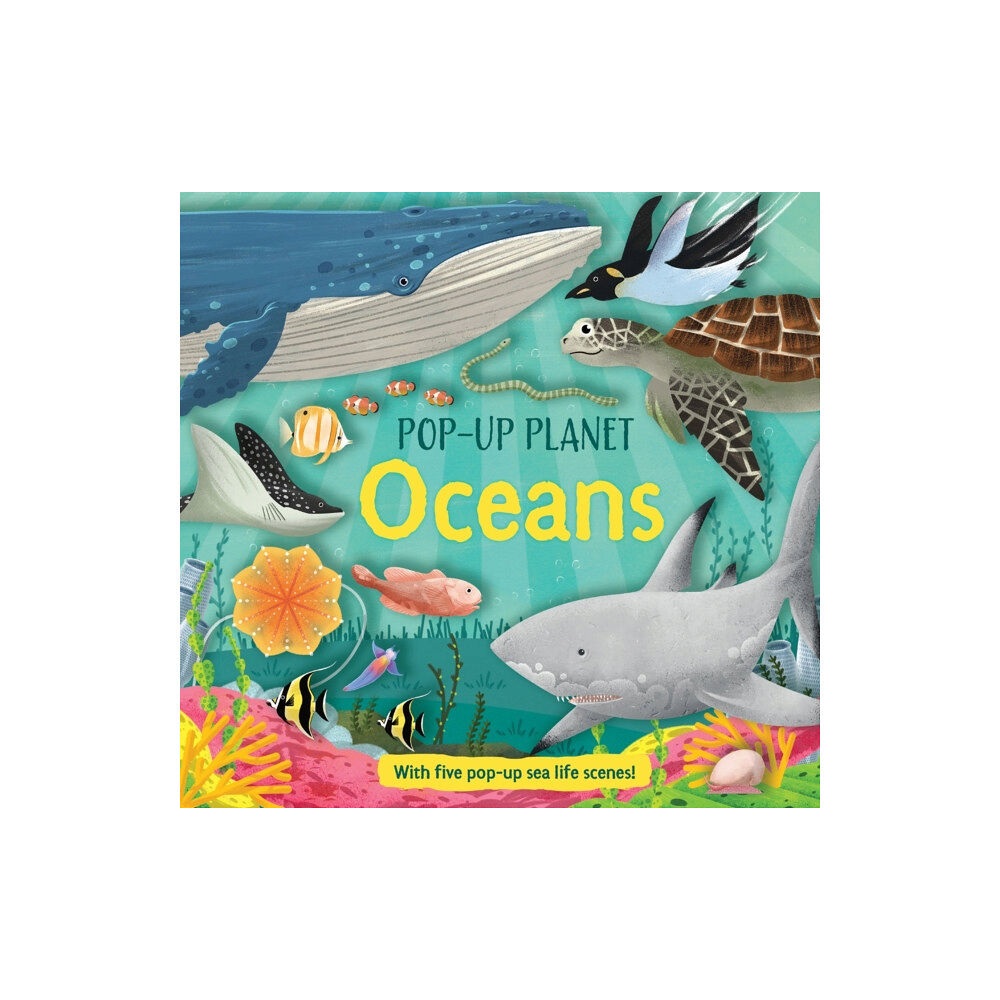 Pan Macmillan Pop-Up Planet: Oceans (inbunden, eng)