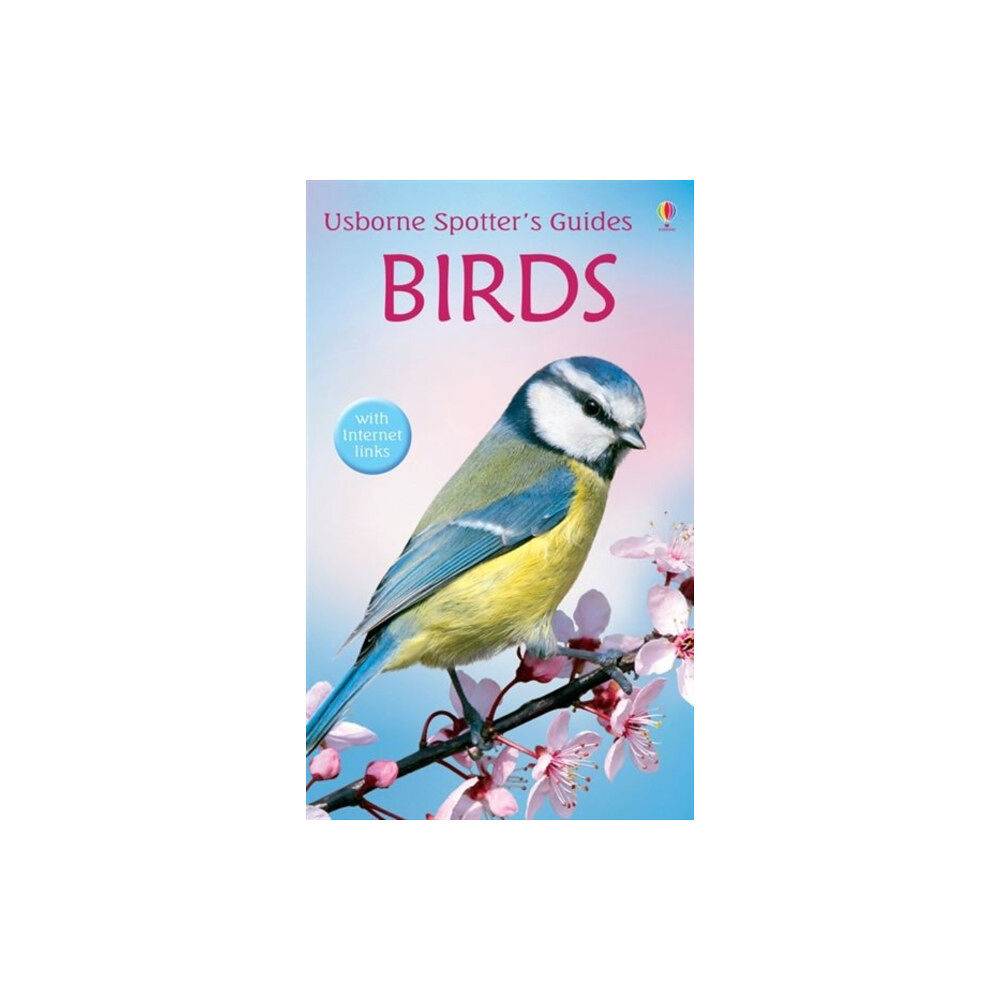 Usborne Publishing Ltd Birds (häftad, eng)