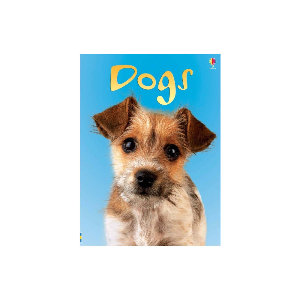 Usborne Publishing Ltd Dogs (inbunden, eng)