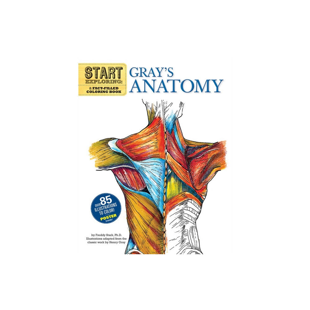 Running Press,U.S. Start Exploring: Gray's Anatomy (häftad, eng)