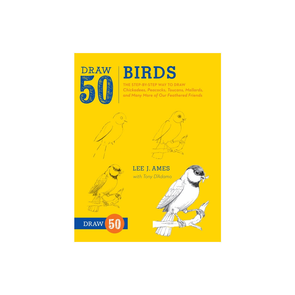 Watson-Guptill Publications Draw 50 Birds (häftad, eng)