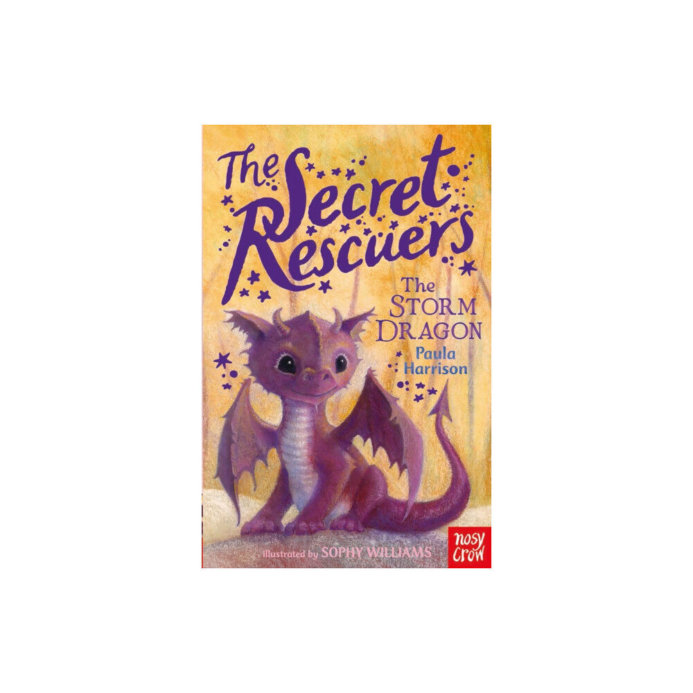 Nosy Crow Ltd The Secret Rescuers: The Storm Dragon (häftad, eng)