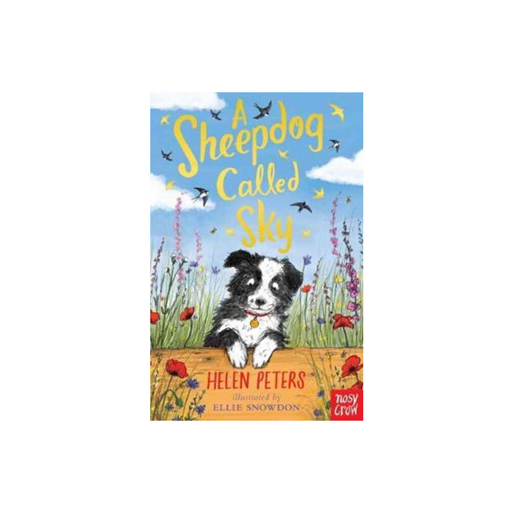 Nosy Crow Ltd A Sheepdog Called Sky (häftad, eng)