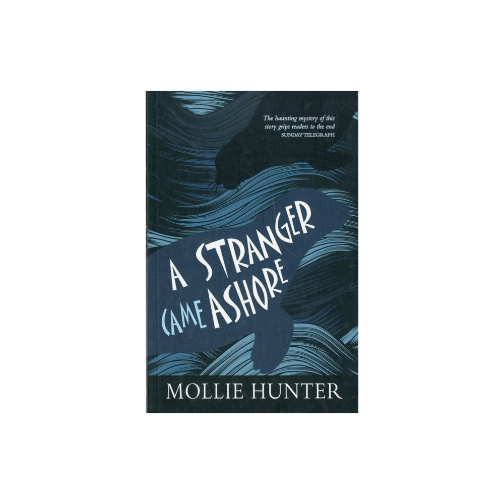 Floris Books A Stranger Came Ashore (häftad, eng)