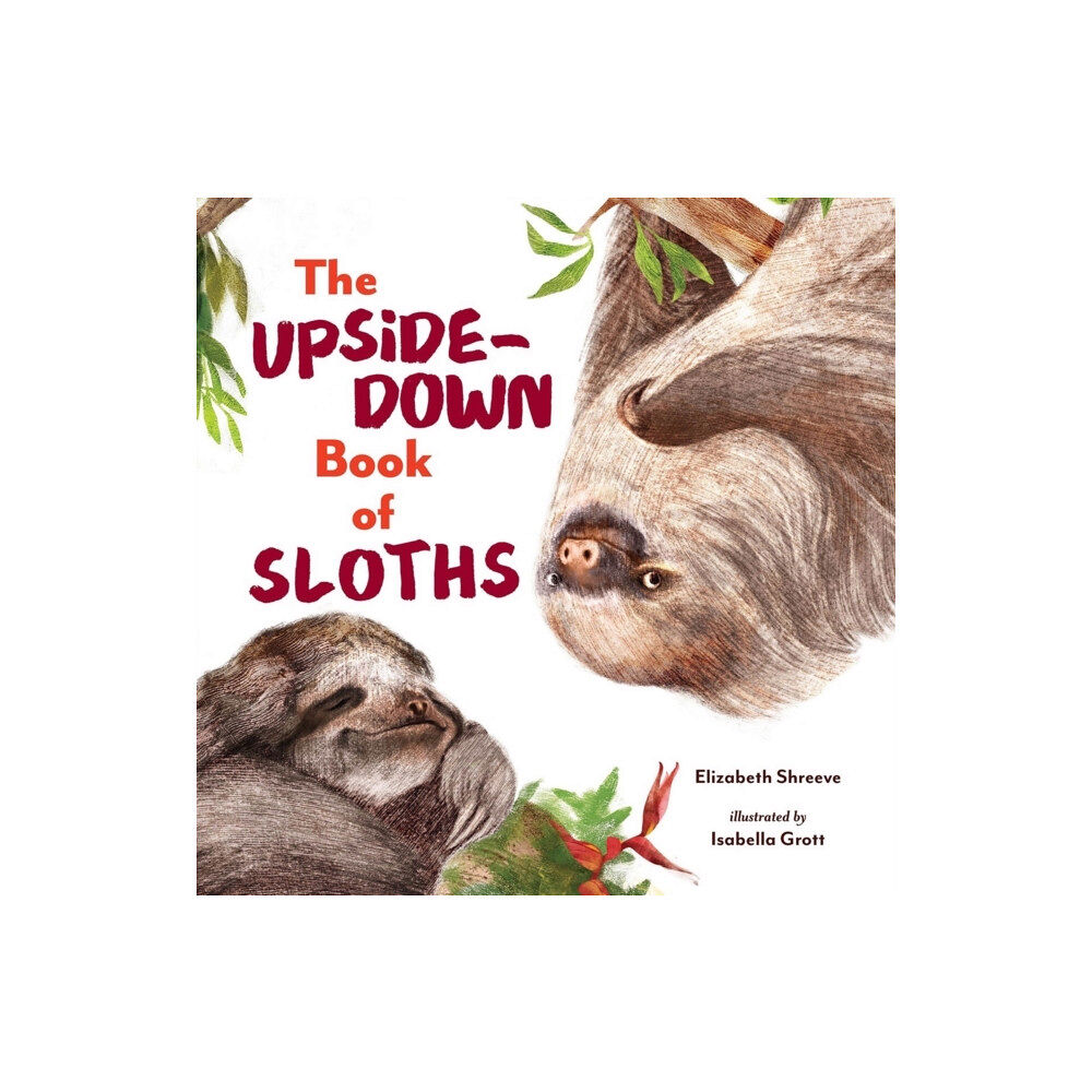 WW Norton & Co The Upside-Down Book of Sloths (inbunden, eng)