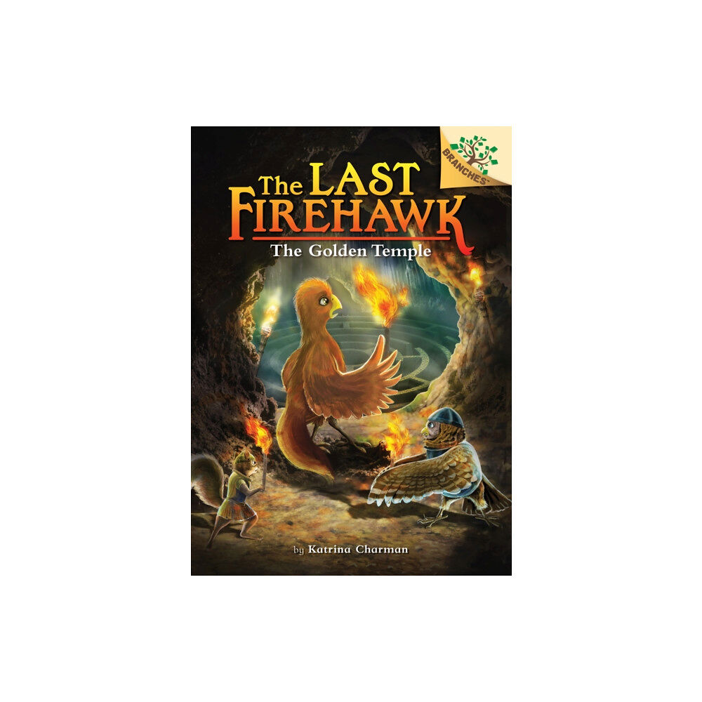 Scholastic Inc. The Secret Maze: A Branches Book (The Last Firehawk #10) (inbunden, eng)