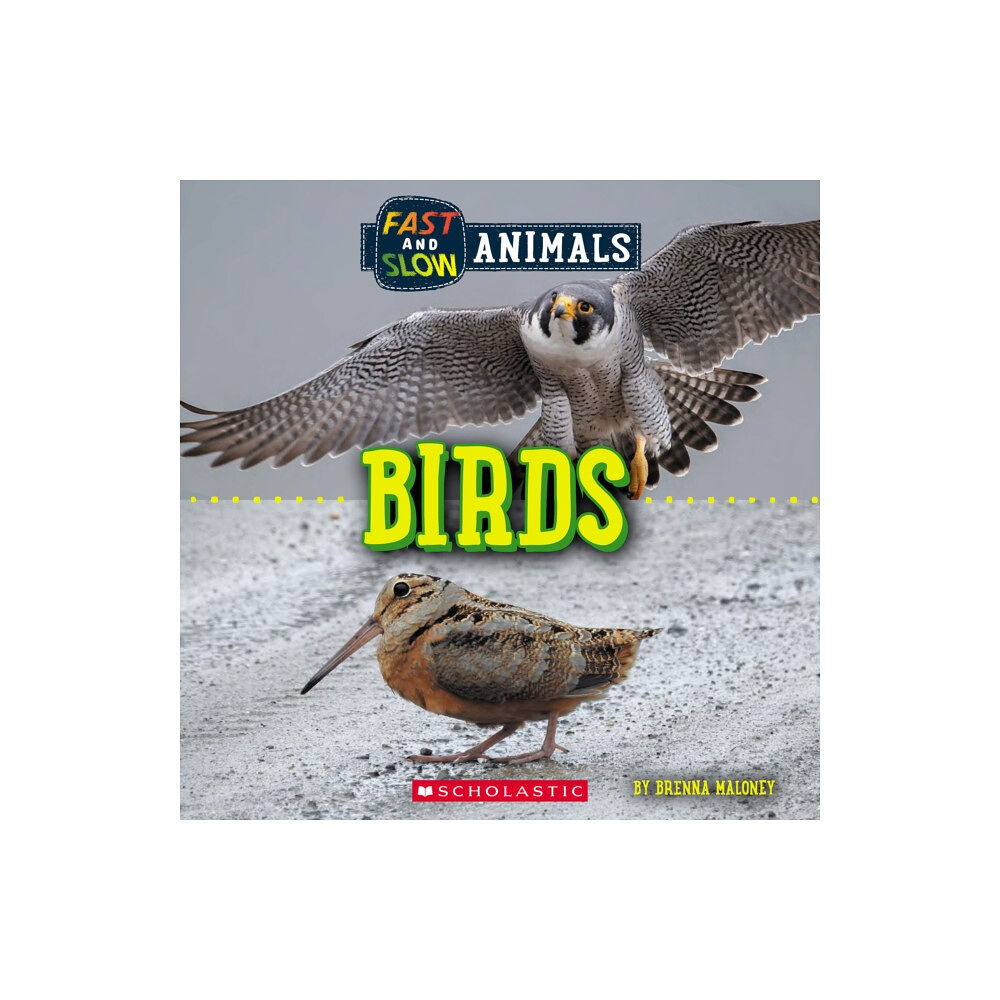 Scholastic Inc. Birds (Wild World: Fast and Slow Animals) (häftad, eng)