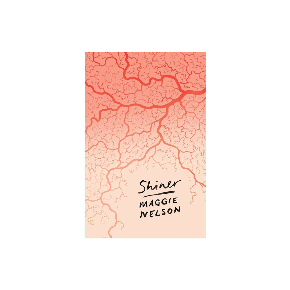 Bloomsbury Publishing PLC Shiner (häftad, eng)