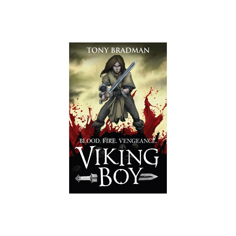 Walker Books Ltd Viking Boy (häftad, eng)