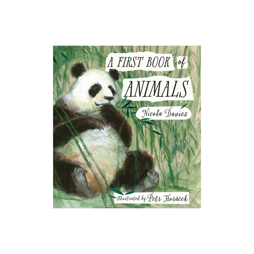 Walker Books Ltd A First Book of Animals (inbunden, eng)