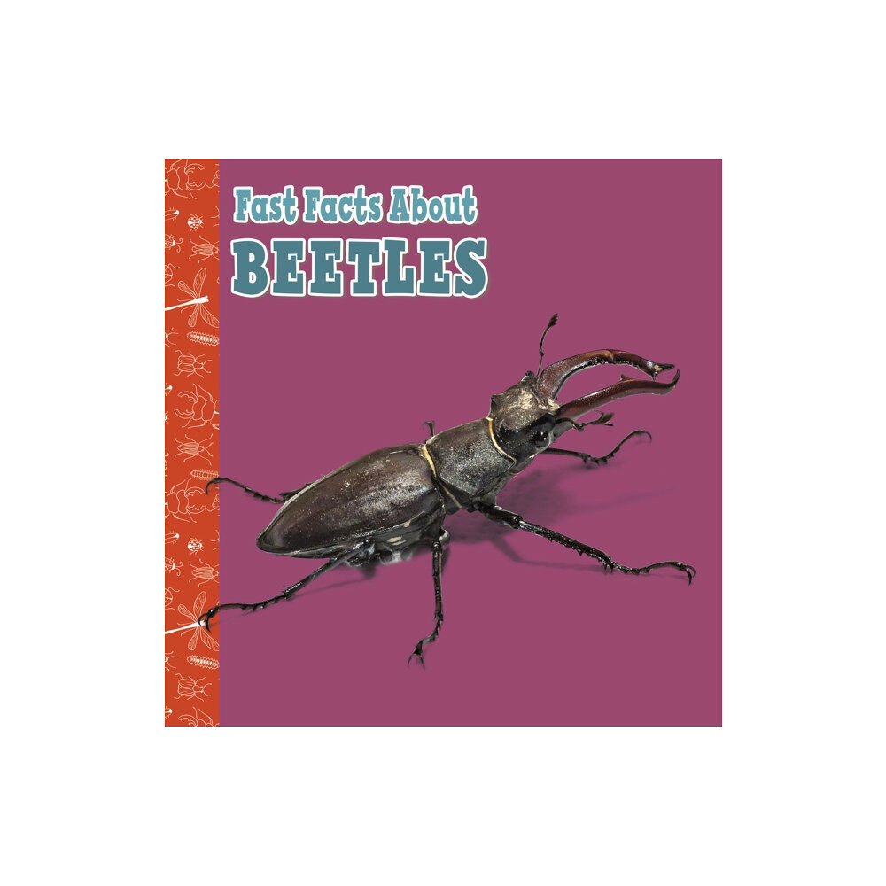 Capstone Global Library Ltd Fast Facts About Beetles (häftad, eng)