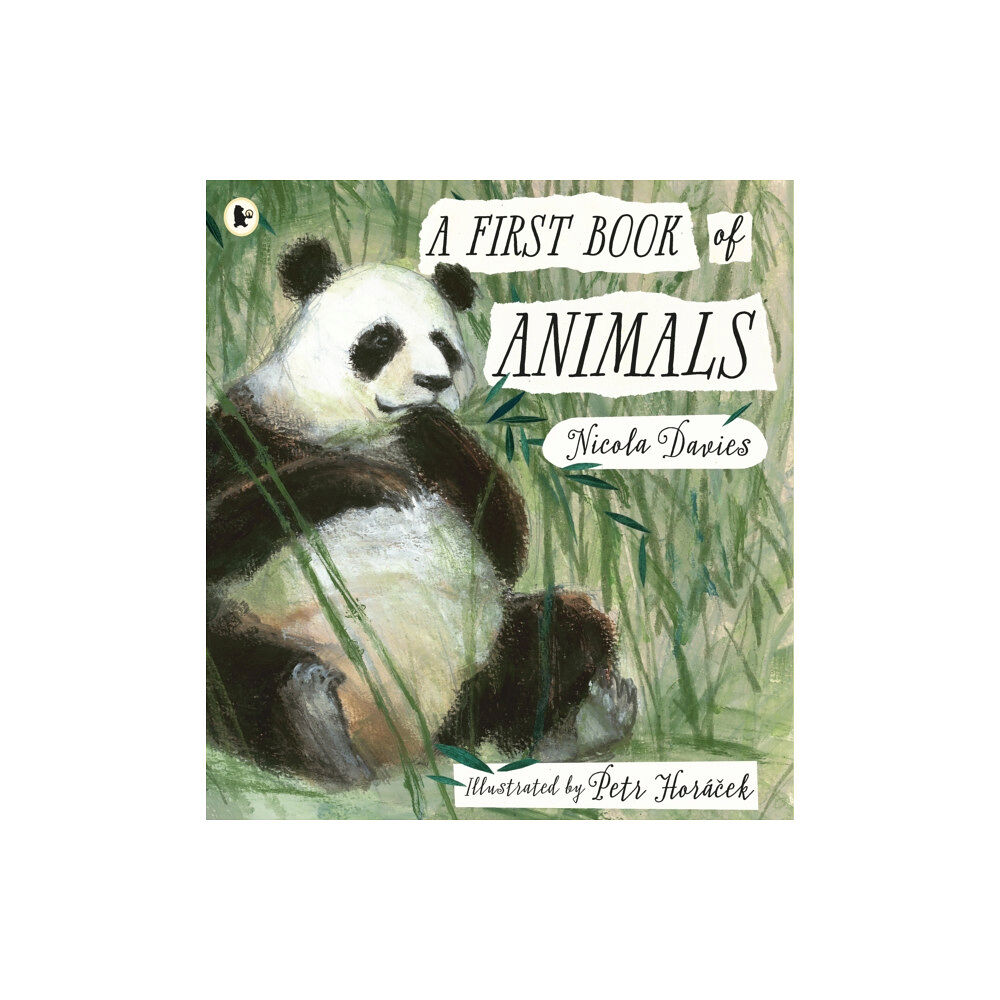 Walker Books Ltd A First Book of Animals (häftad, eng)