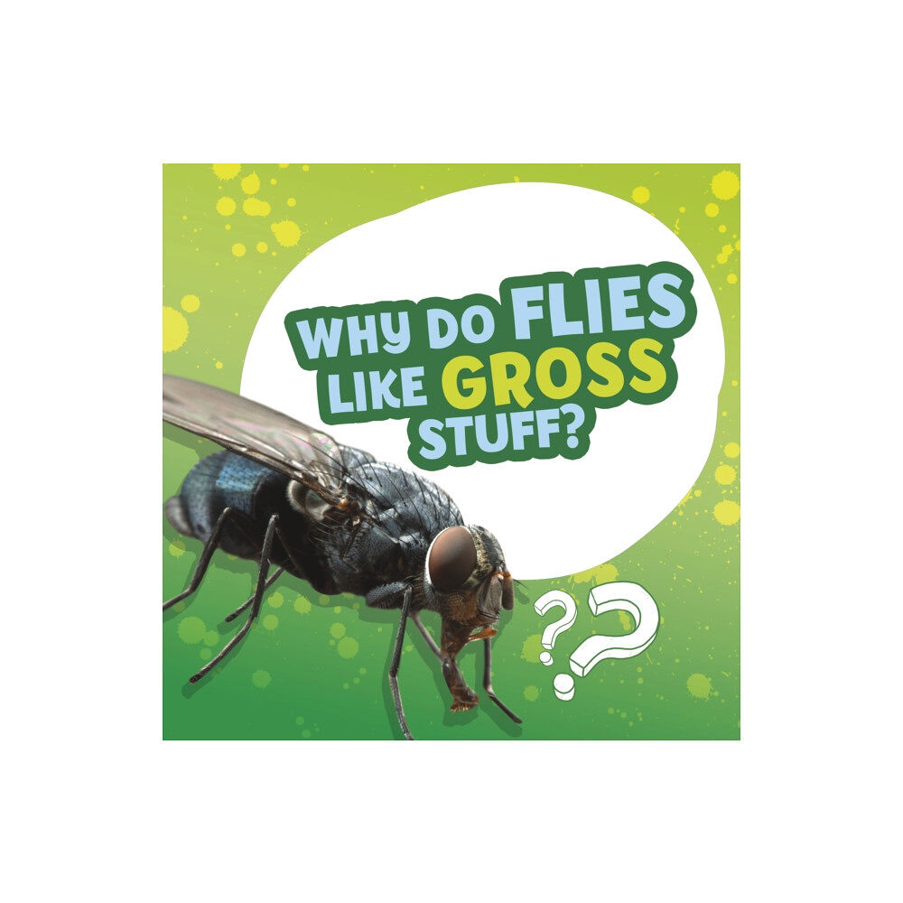 Capstone Global Library Ltd Why Do Flies Like Gross Stuff? (häftad, eng)