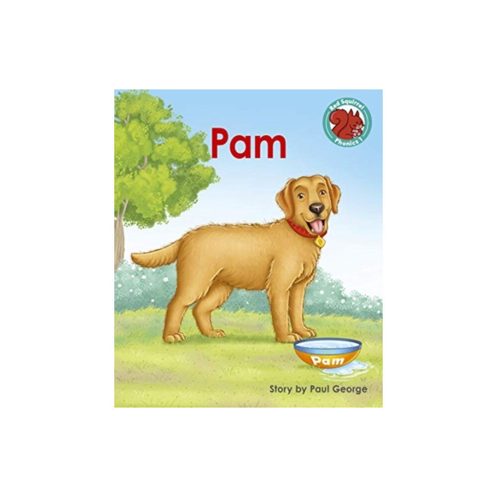 Capstone Global Library Ltd Pam (häftad, eng)