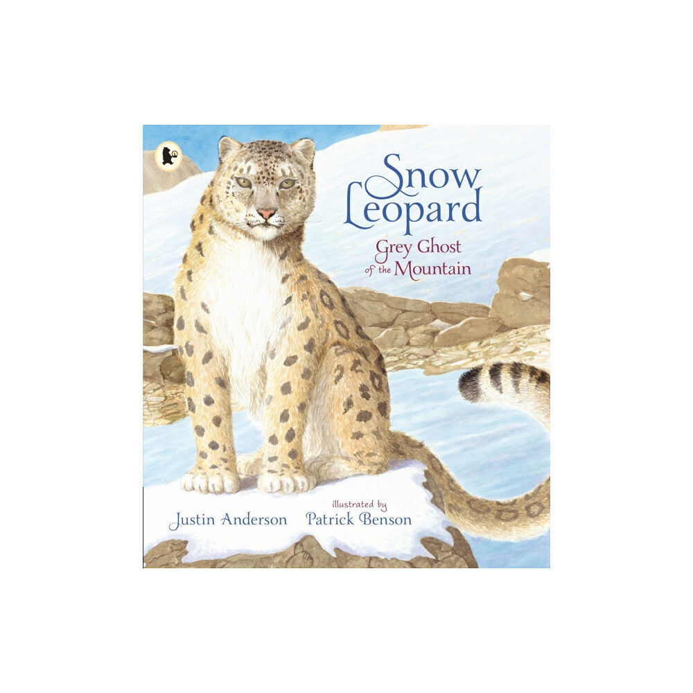 Walker Books Ltd Snow Leopard: Grey Ghost of the Mountain (häftad, eng)