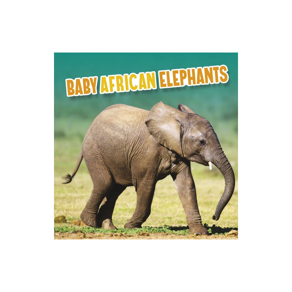 Capstone Global Library Ltd Baby African Elephants (inbunden, eng)