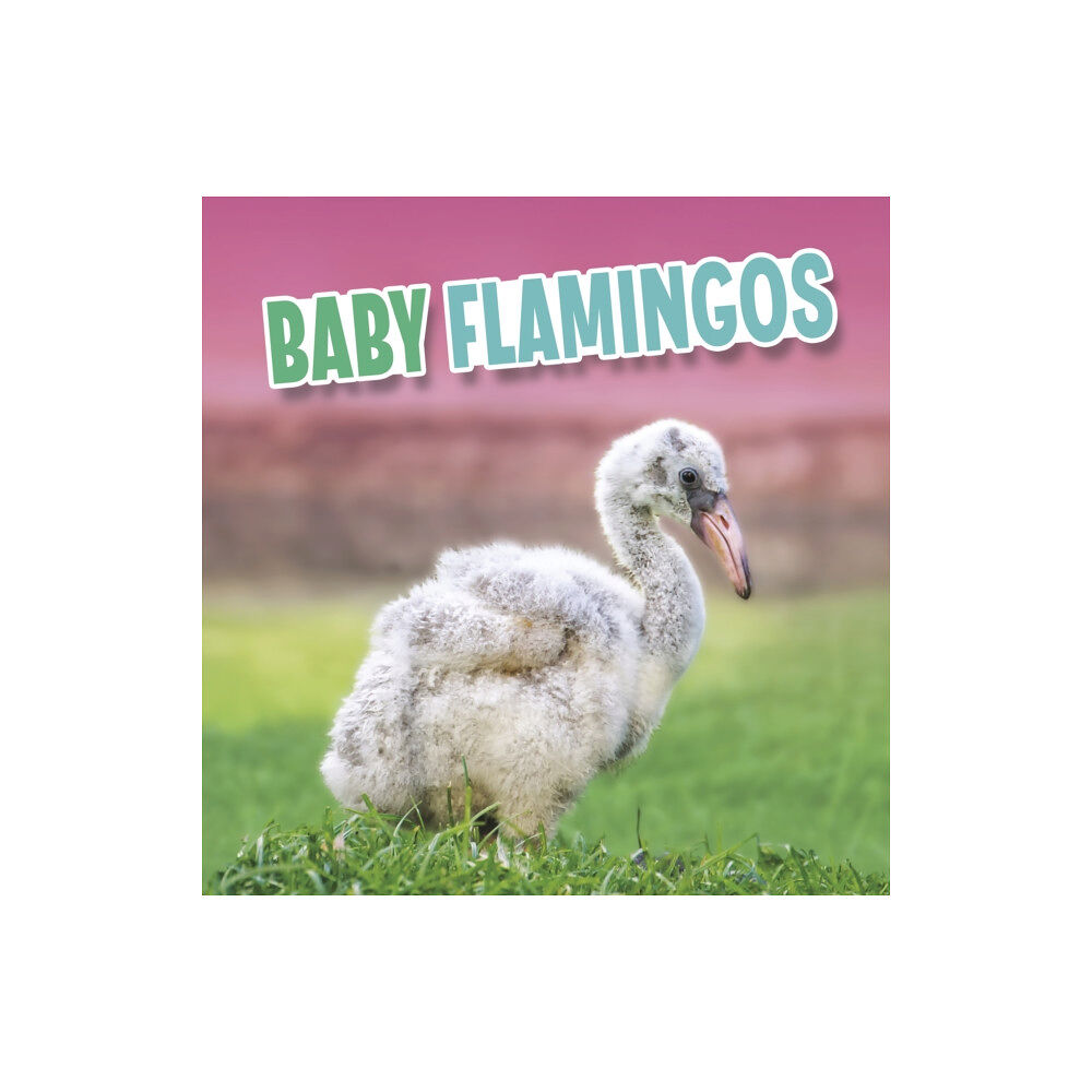 Capstone Global Library Ltd Baby Flamingos (inbunden, eng)