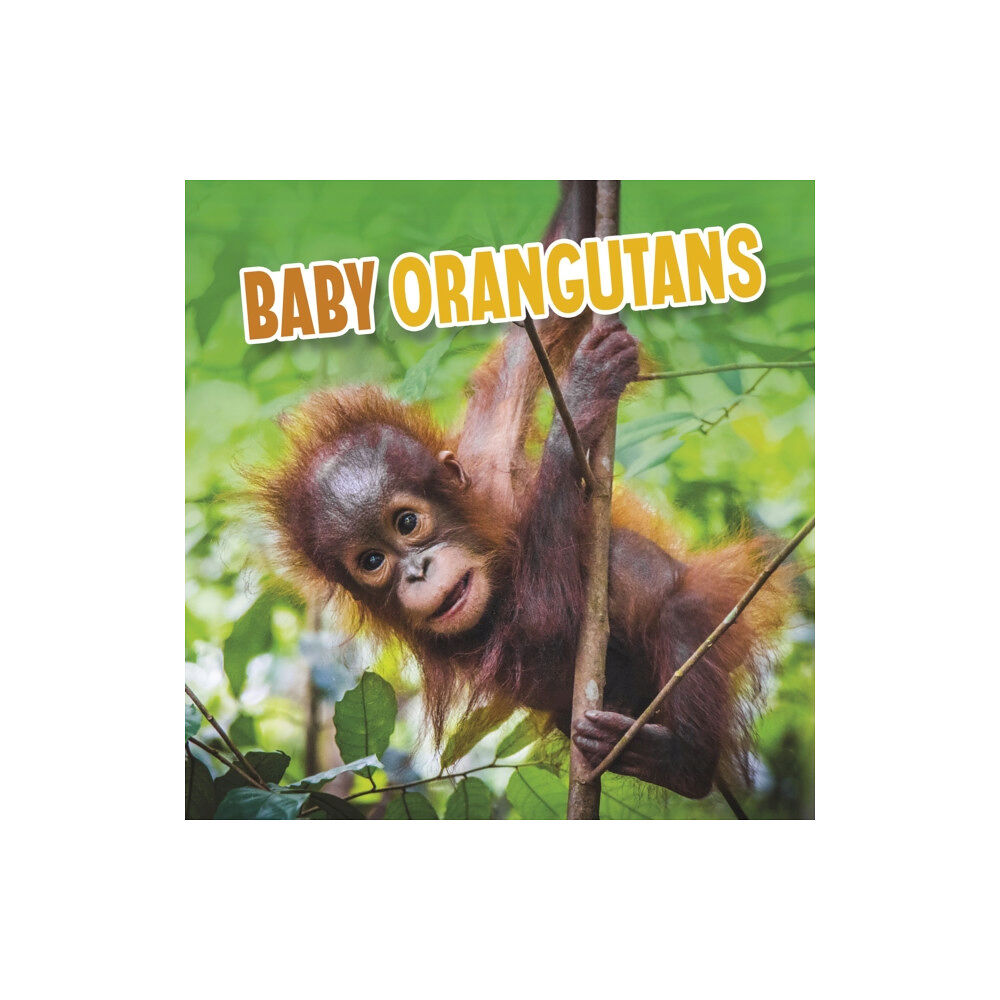 Capstone Global Library Ltd Baby Orangutans (häftad, eng)