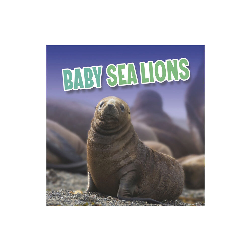 Capstone Global Library Ltd Baby Sea Lions (inbunden, eng)