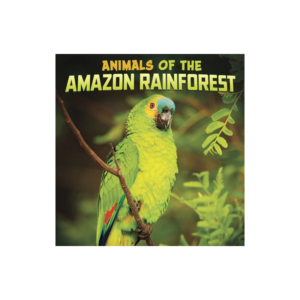 Capstone Global Library Ltd Animals of the Amazon Rainforest (häftad, eng)