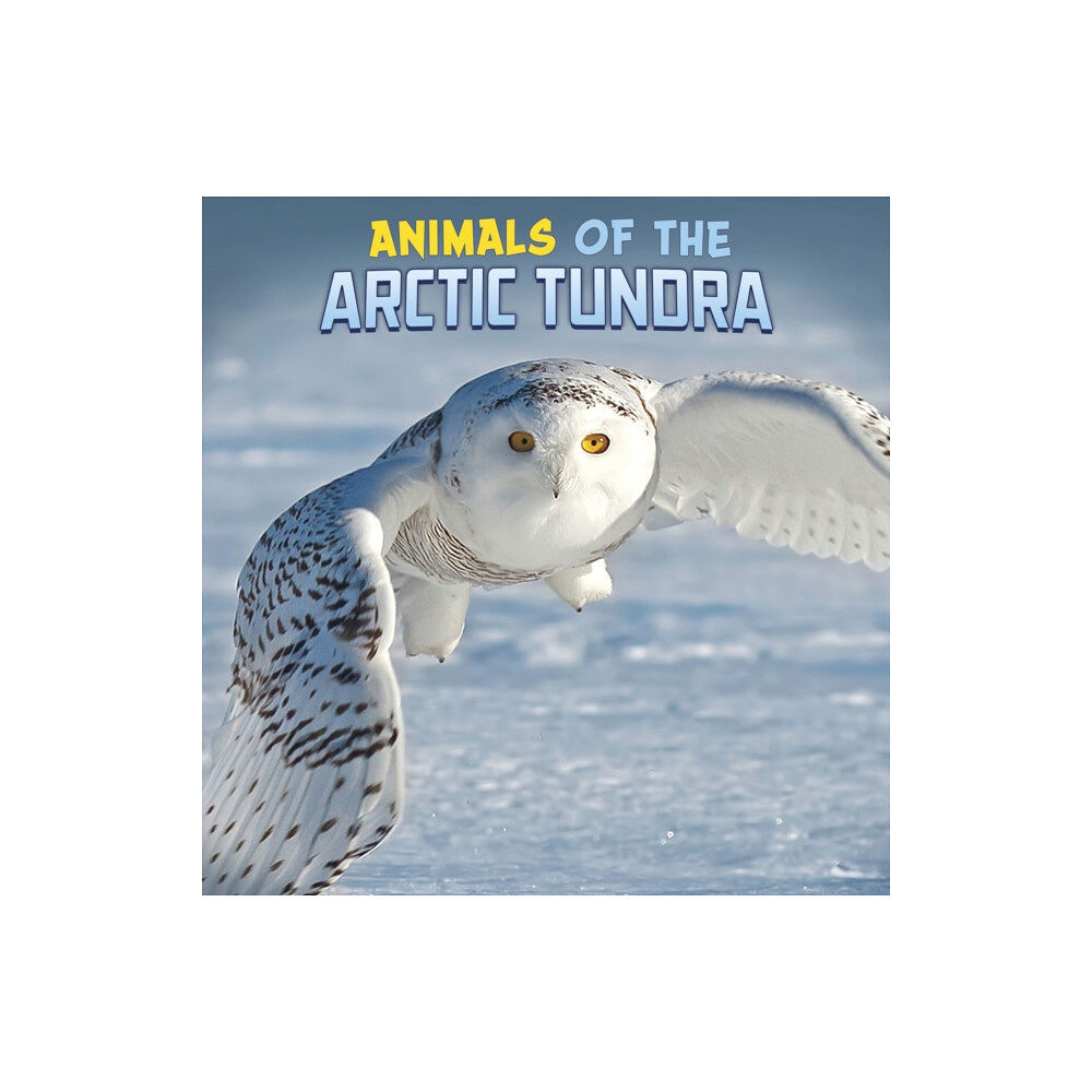 Capstone Global Library Ltd Animals of the Arctic Tundra (häftad, eng)