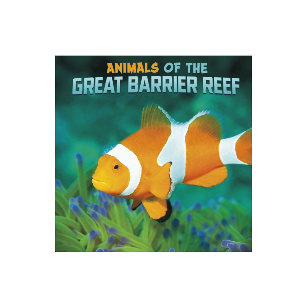 Capstone Global Library Ltd Animals of the Great Barrier Reef (inbunden, eng)