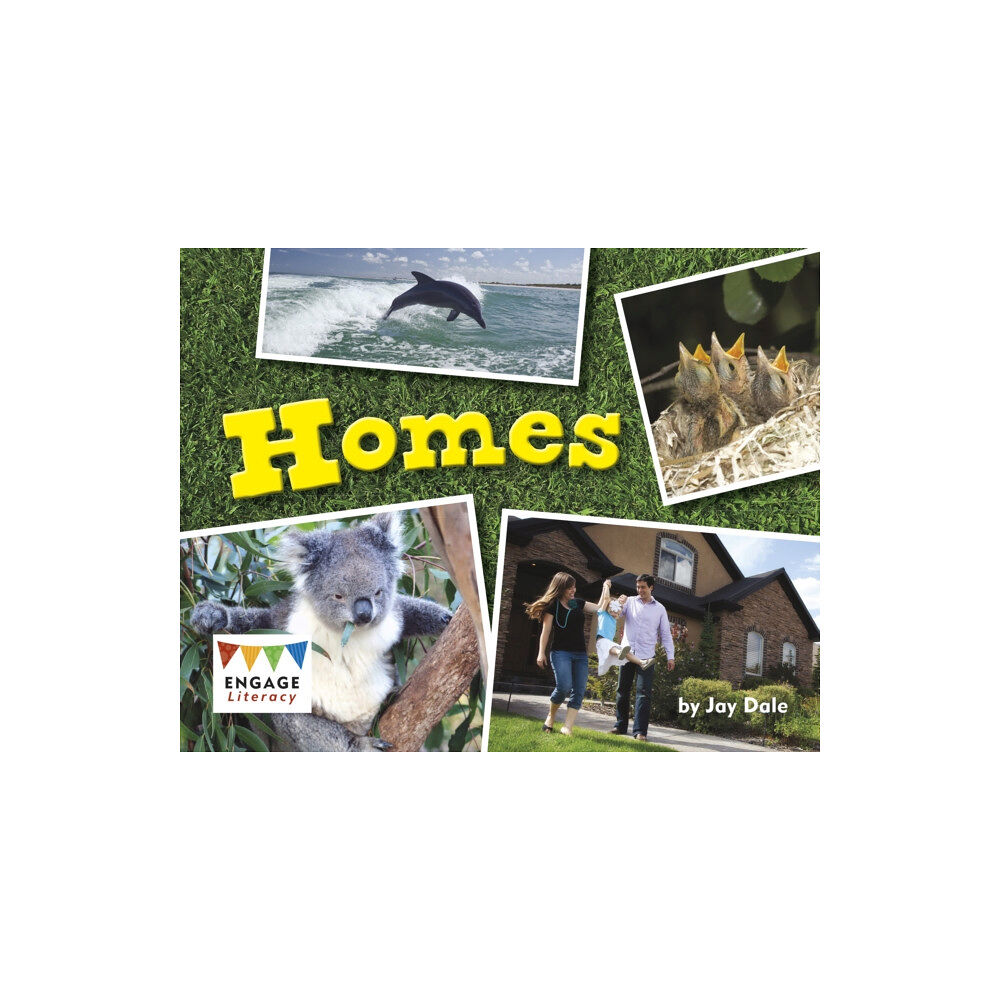 Capstone Global Library Ltd Homes (häftad, eng)