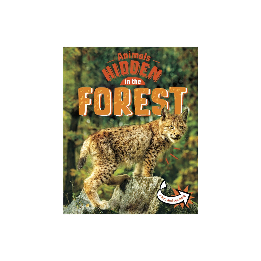 Capstone Global Library Ltd Animals Hidden in the Forest (inbunden, eng)