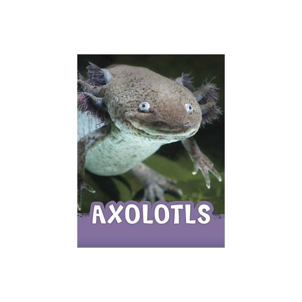 Capstone Global Library Ltd Axolotls (inbunden, eng)