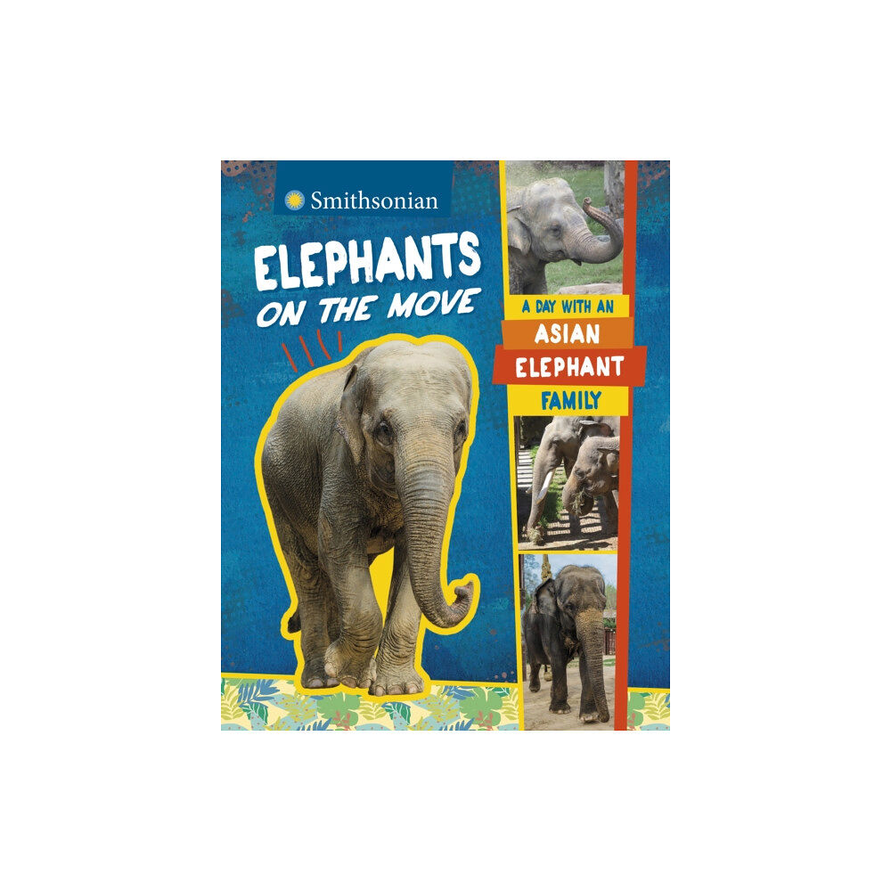 Capstone Global Library Ltd Elephants on the Move (häftad, eng)