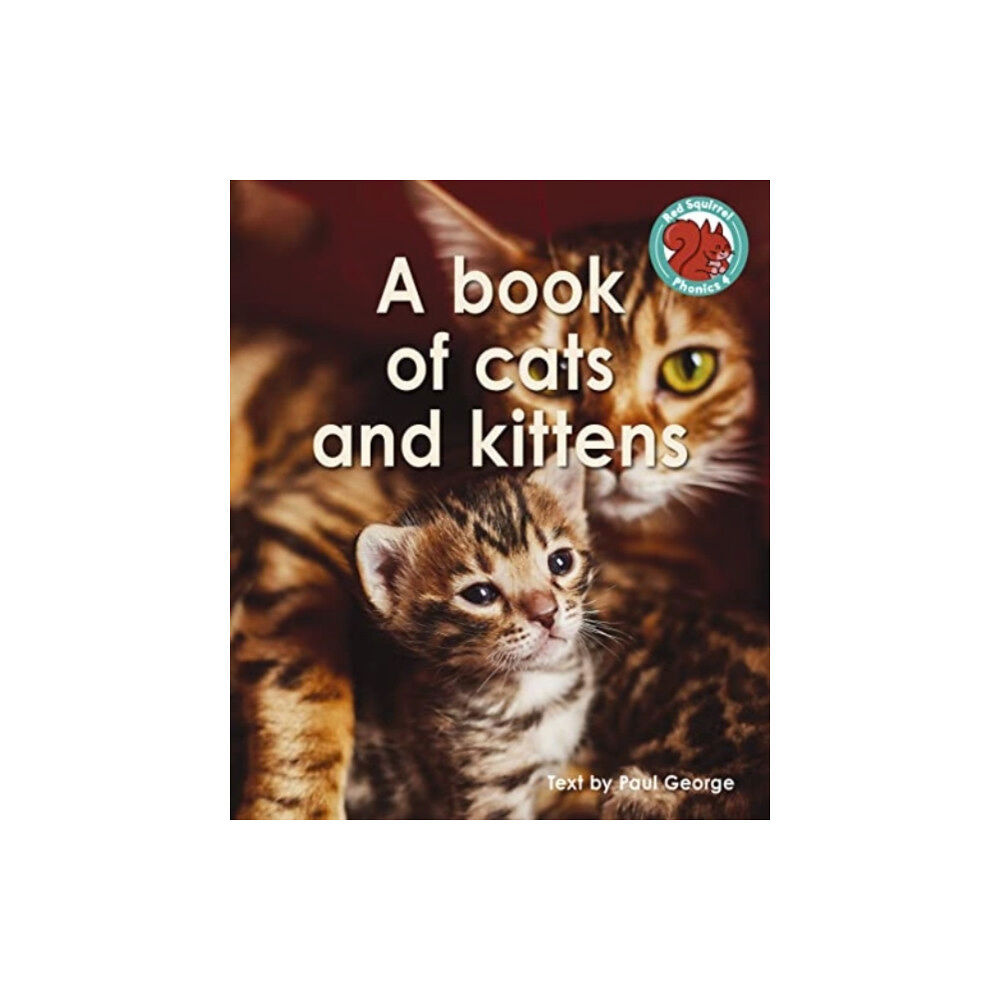 Capstone Global Library Ltd A book of cats and kittens (häftad, eng)