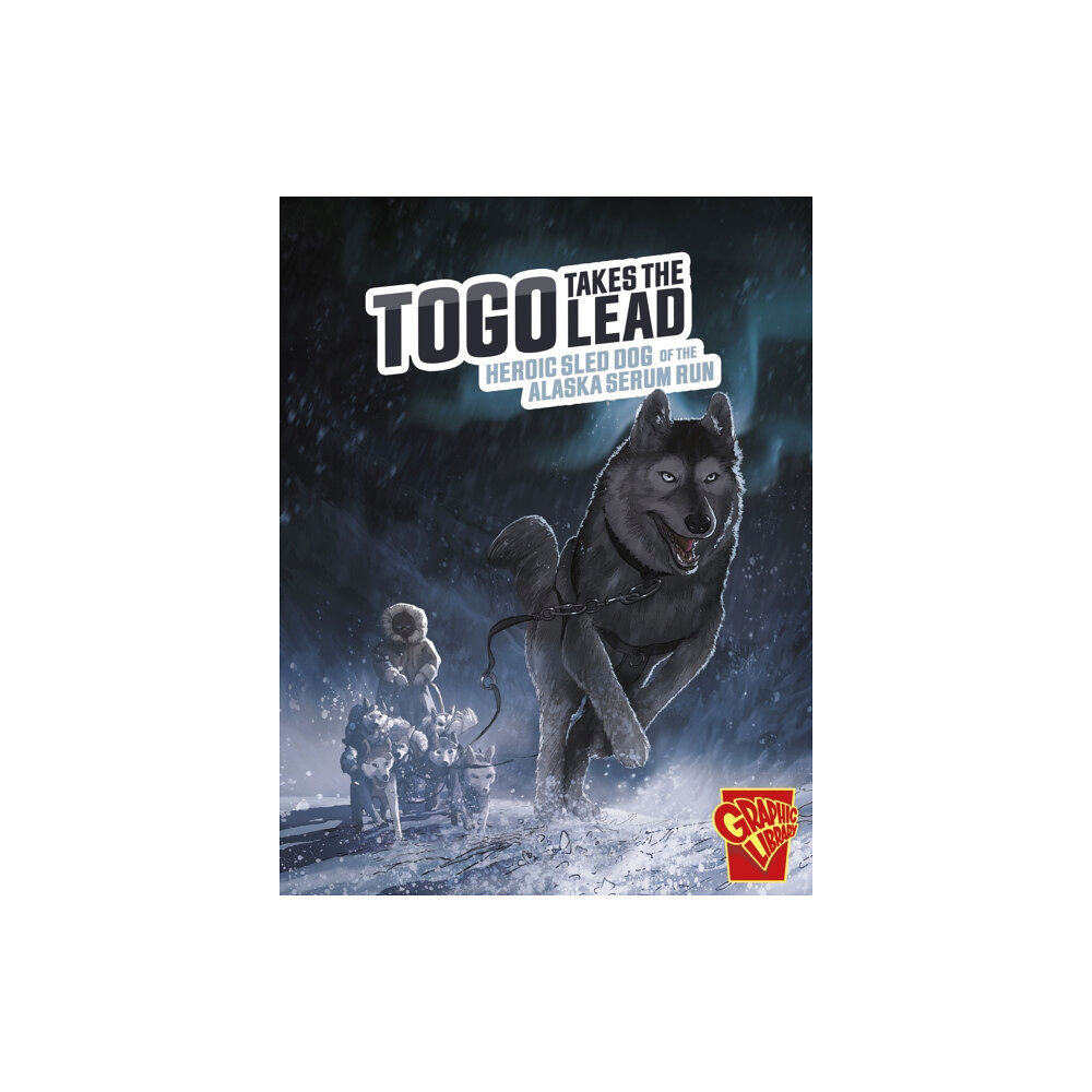 Capstone Global Library Ltd Togo Takes the Lead (häftad, eng)
