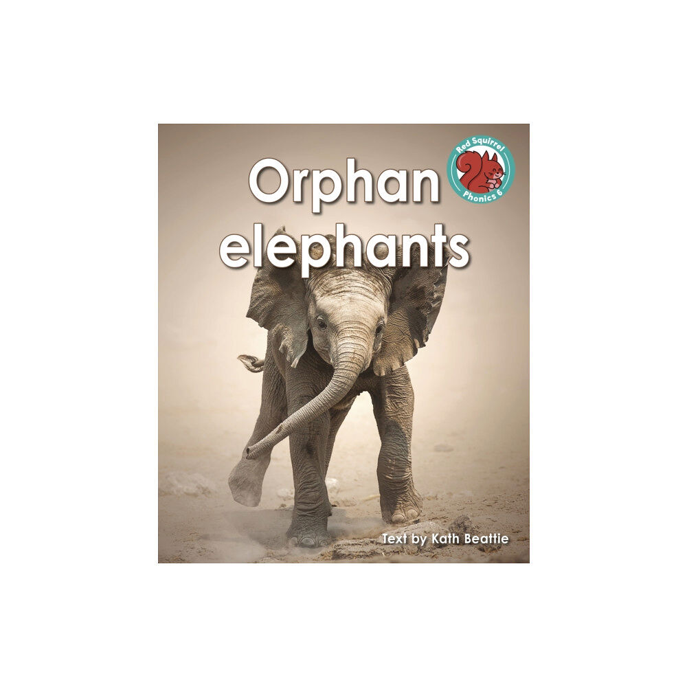 Capstone Global Library Ltd Orphan elephants (häftad, eng)