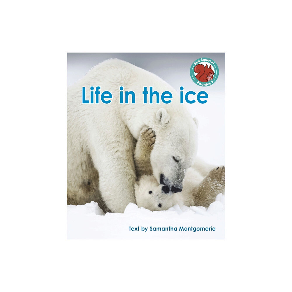 Capstone Global Library Ltd Life in the ice (häftad, eng)