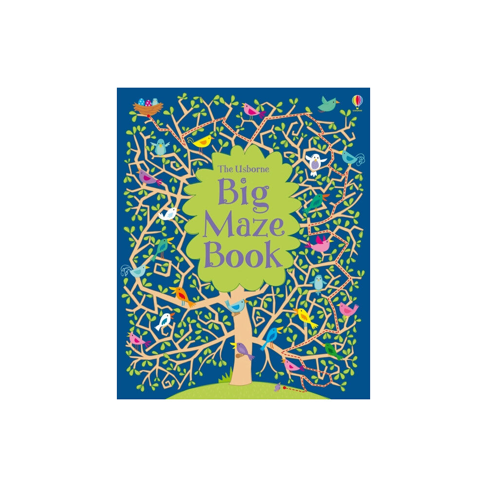 Usborne Publishing Ltd Big Maze Book (häftad, eng)