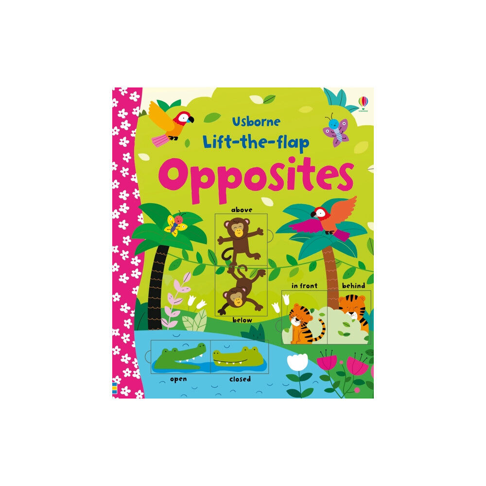 Usborne Publishing Ltd Lift-the-flap Opposites (bok, board book, eng)