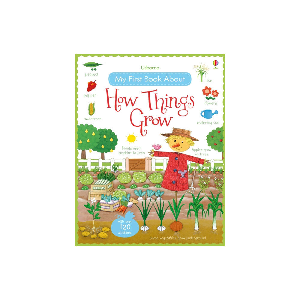 Usborne Publishing Ltd My First Book About How Things Grow (häftad, eng)