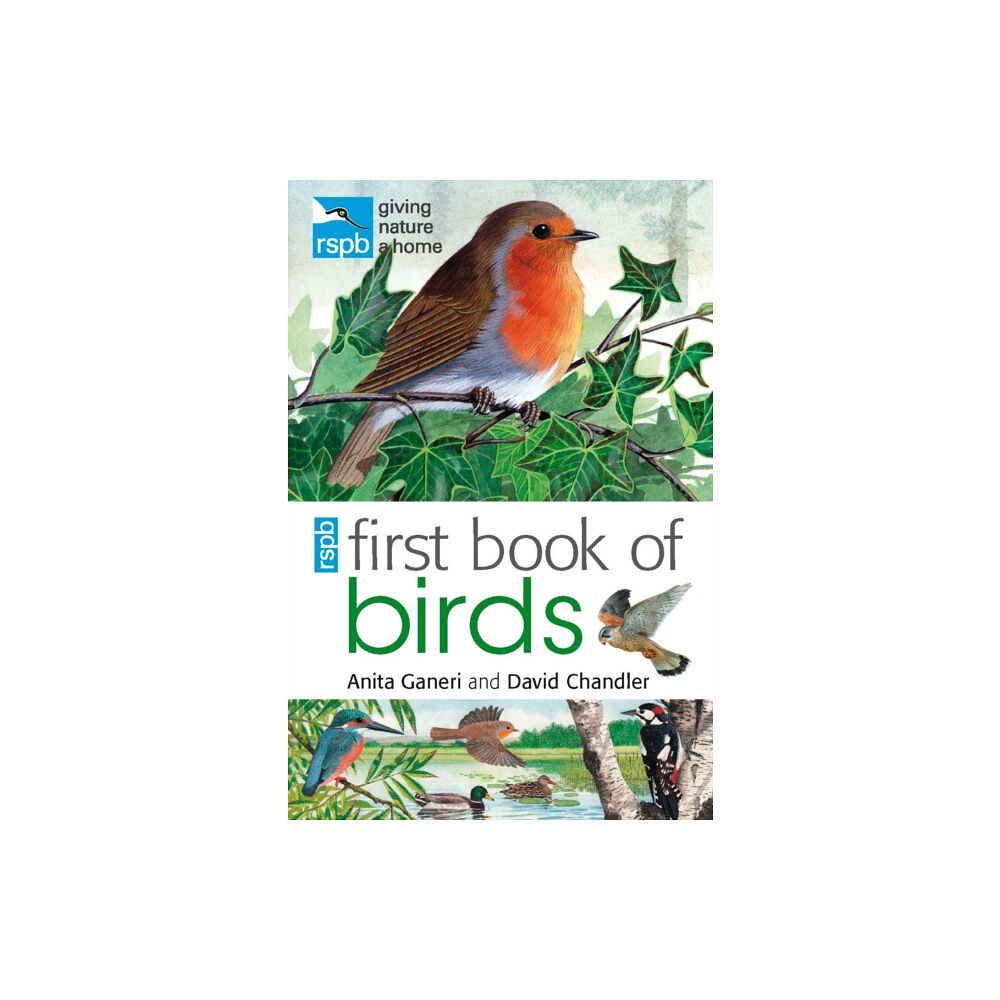 Bloomsbury Publishing PLC RSPB First Book Of Birds (häftad, eng)