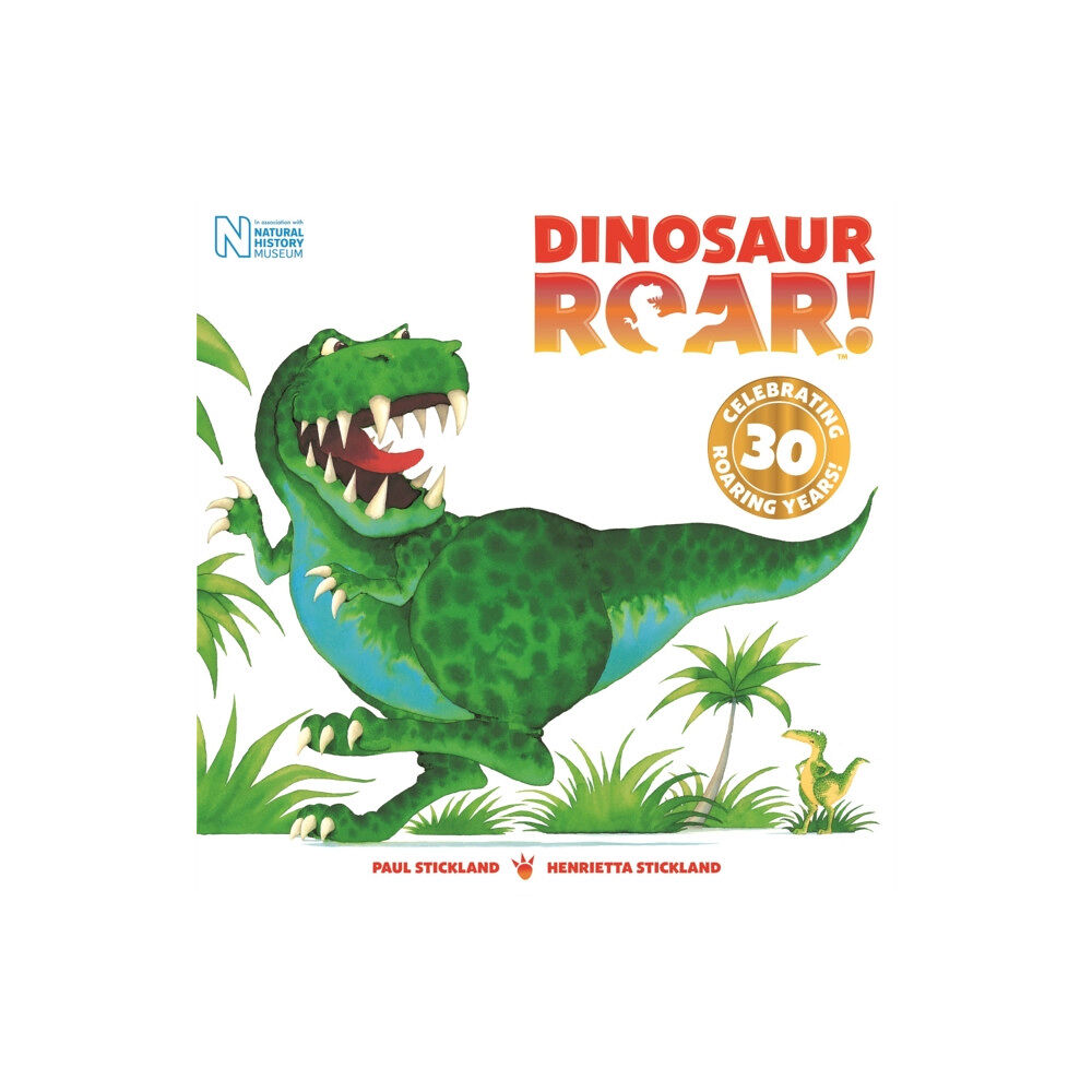 Hachette Children's Group Dinosaur Roar! (häftad, eng)
